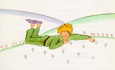 The little prince lying on medow